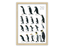 Lade das Bild in den Galerie-Viewer, Poster Pinguine
