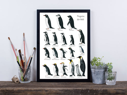 Poster mit 18 handgezeichneten Pinguin Arten