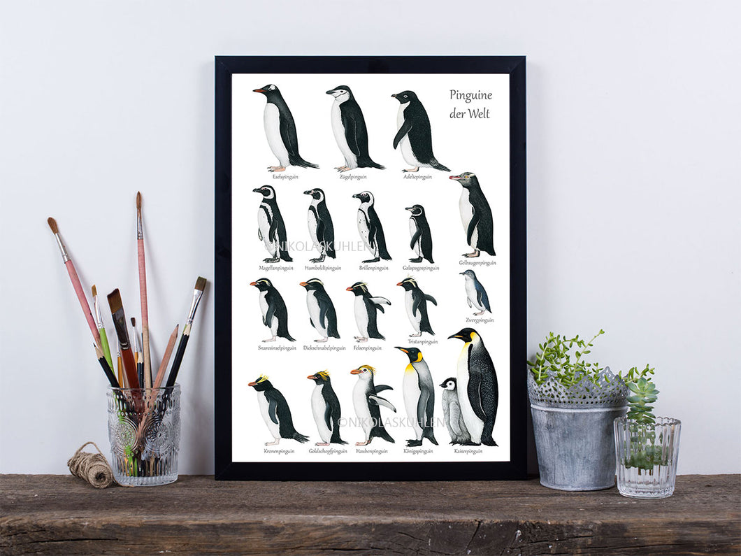 Poster mit 18 handgezeichneten Pinguin Arten