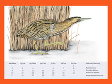 Load image into Gallery viewer, Zeichnung einer Rohrdommel vor Schilf, eine schwarz beige und gut getarnte Reiherart
