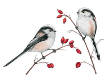 Load image into Gallery viewer, Die Meisen haben lange Schwänze und rosa Färbungen im weiß schwarzem Gefieder
