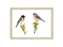 Load image into Gallery viewer, Zeichnung zweier Schwarzkehlchen auf gelben Blüten und weißem Hintergrund
