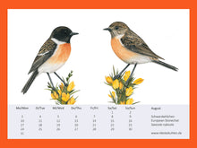 Load image into Gallery viewer, Schwarzkehlchen Pärchen auf gelben Blüten
