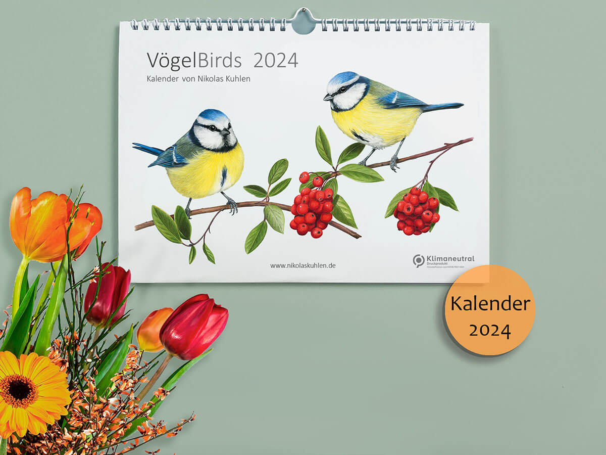 Vogelkalender 2024, Deckblatt zeigt zwei Blaumeisen und rote Früchte. Dazu Blumen als Dekoration