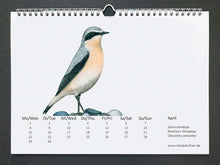 Load image into Gallery viewer, Die April Seite zeigt einen Steinschmätzer in aufrechter Haltung. Der Vogel ist grau schwarz mit orangener Brust
