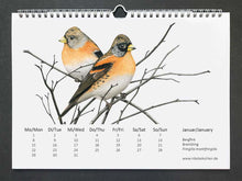 Load image into Gallery viewer, Januar Seite des Kalenders. 2 Bergfinken in kahlen Ästen
