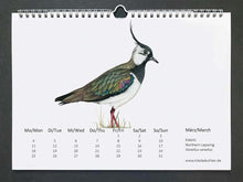 Lade das Bild in den Galerie-Viewer, März Seite des Kalenders, zeigt einen Kiebitz, mit frünlichem Gefieder und einem schwarzen Schopf
