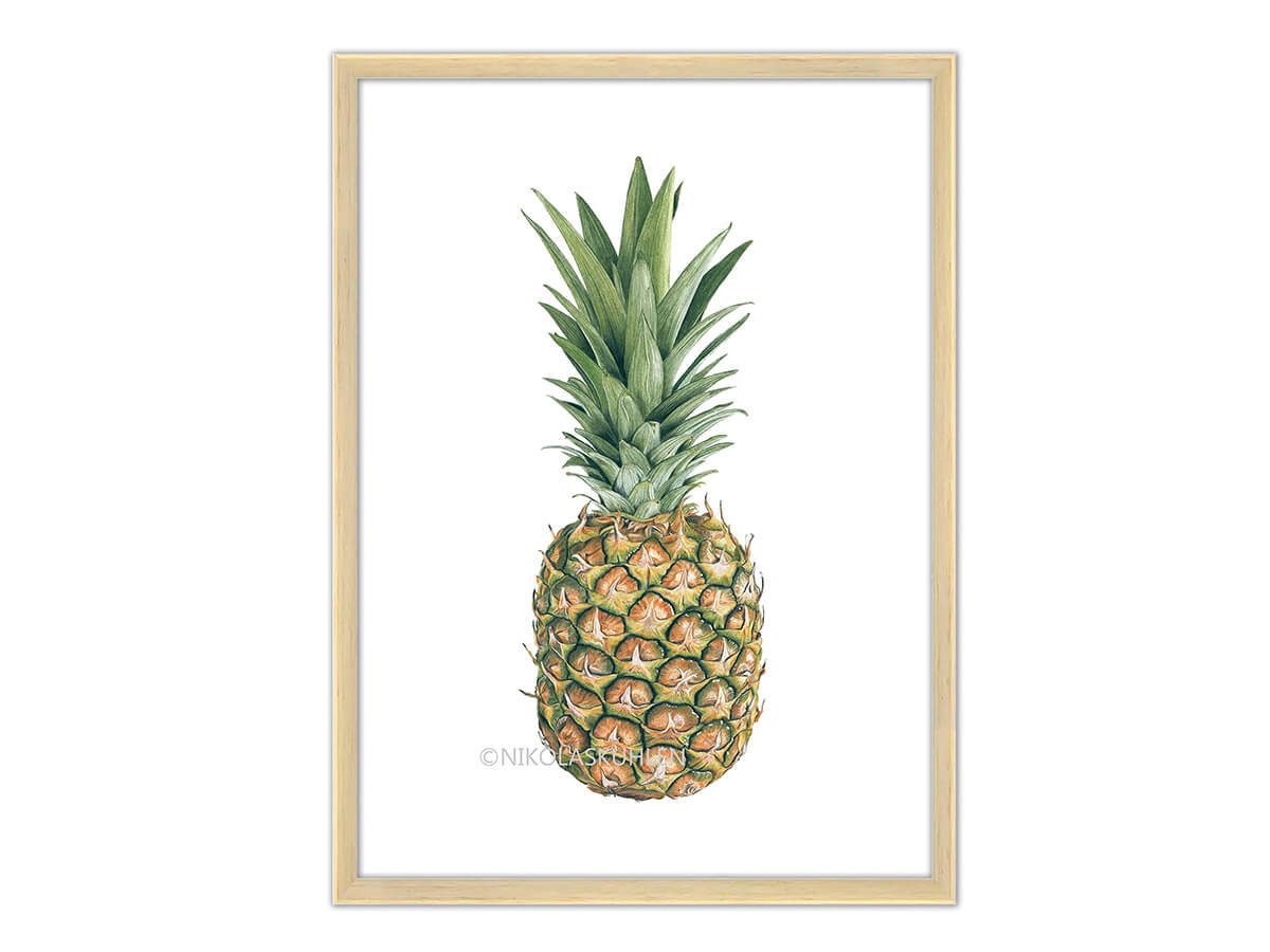 Ananas Zeichnung mit Rahmen