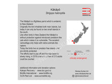 Lade das Bild in den Galerie-Viewer, Kakapo Infokarte englisch
