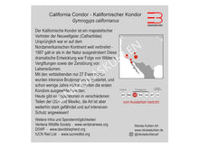 Load image into Gallery viewer, Kondor Infokarte deutsch
