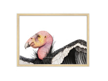 Load image into Gallery viewer, Kondor Zeichnung Portrait Flügel
