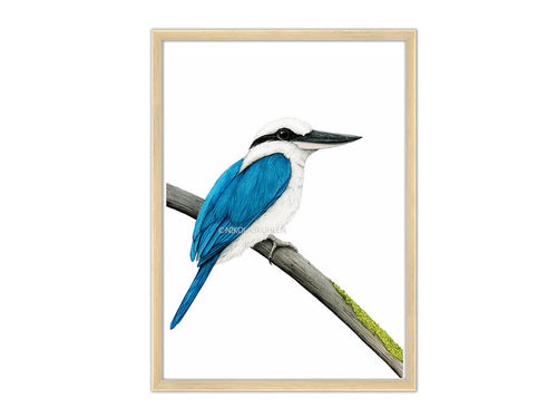Vogel weiß blau auf Ast