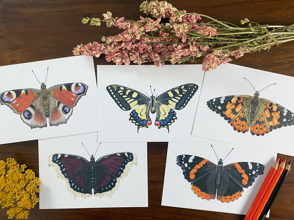 5 verschiedene Postkarten mit Schmetterlingen, dazu Dekoblumen