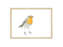 Load image into Gallery viewer, Zeichnung Rotkehlchen orange Rahmen
