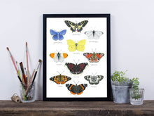 Load image into Gallery viewer, Poster Schmetterlinge mit Deko
