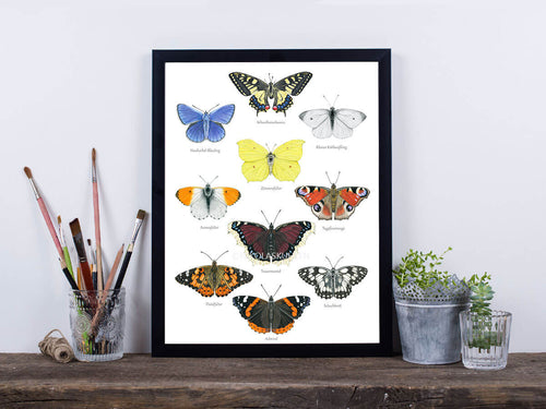 Poster Schmetterlinge mit Deko