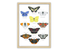 Load image into Gallery viewer, Poster mit 10 Schmetterlingen
