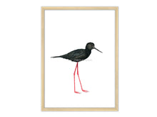 Lade das Bild in den Galerie-Viewer, schwarzer Vogel roter Schnabel Rahmen
