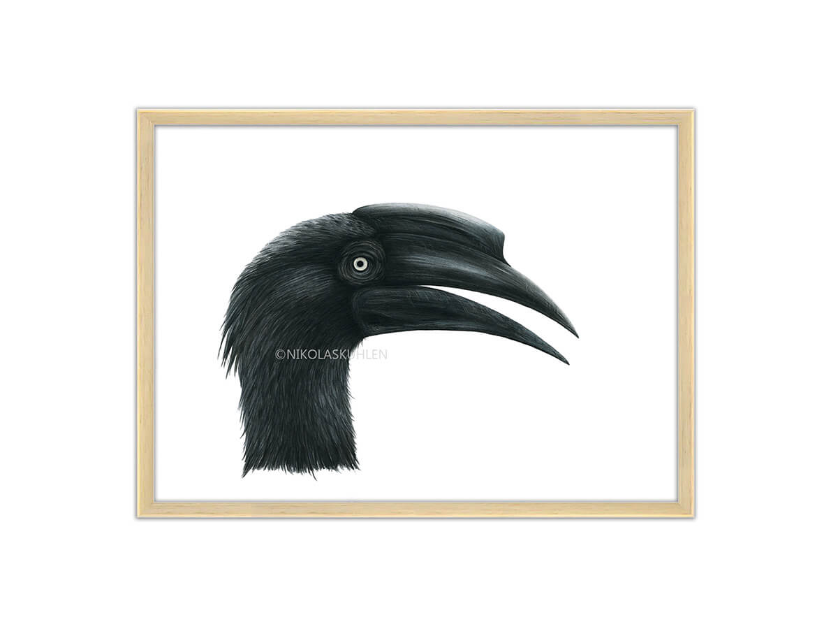 Hornvogel schwarz Rahmen