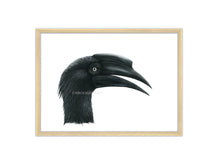 Lade das Bild in den Galerie-Viewer, Hornvogel schwarz Portrait Rahmen

