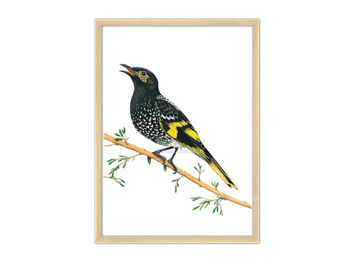 Vogel schwarz gelb auf Ast Rahmen